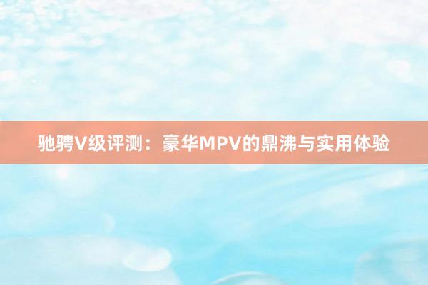 驰骋V级评测：豪华MPV的鼎沸与实用体验